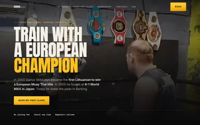 Darius Skliaudys website