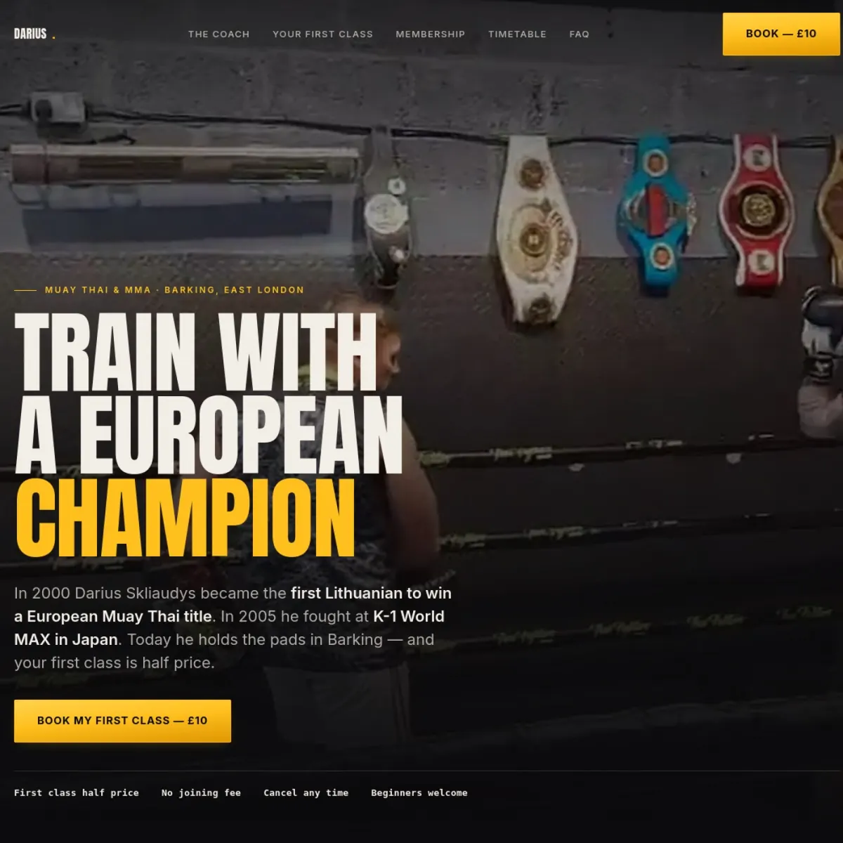 Darius Skliaudys website