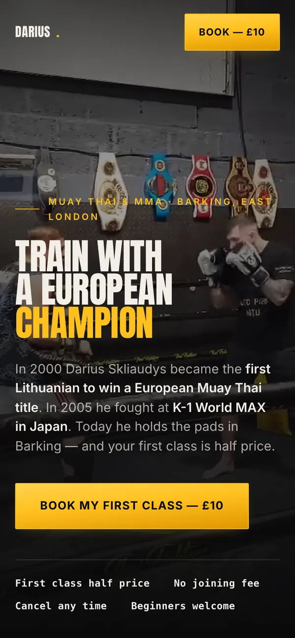 Darius Skliaudys: website on a phone